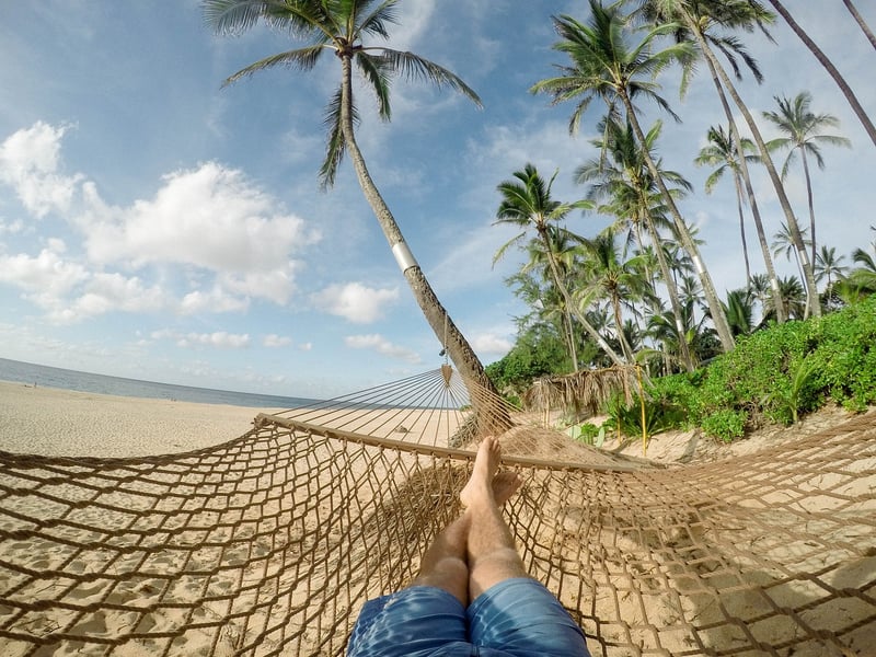 Tropical Paradise