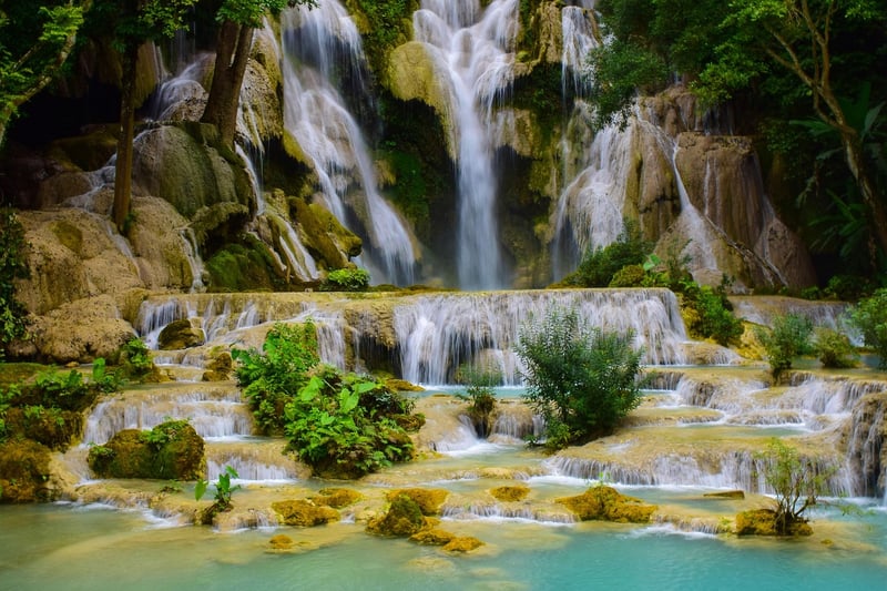 Waterfall in a lush forest